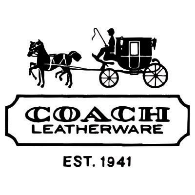 Custom coach logo iron on transfers (Decal Sticker) No.100029