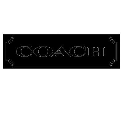 Custom coach logo iron on transfers (Decal Sticker) No.100035