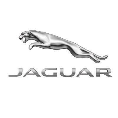 Custom jaguar logo iron on transfers (Decal Sticker) No.100190