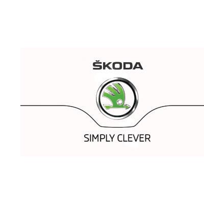 Custom skoda logo iron on transfers (Decal Sticker) No.100285