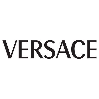 Custom versace logo iron on transfers (Decal Sticker) No.100406