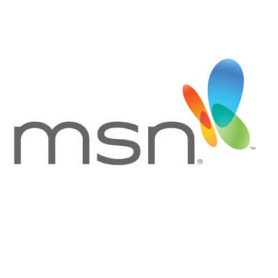 Custom msn logo iron on transfers (Decal Sticker) No.100511