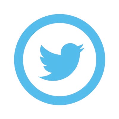 Custom twitter logo iron on transfers (Decal Sticker) No.100520