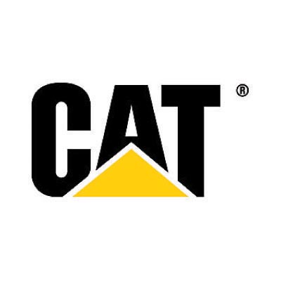 Custom cat logo iron on transfers (Decal Sticker) No.100549