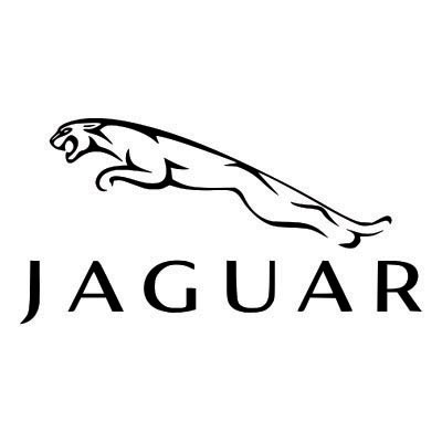 Custom jaguar logo iron on transfers (Decal Sticker) No.100189