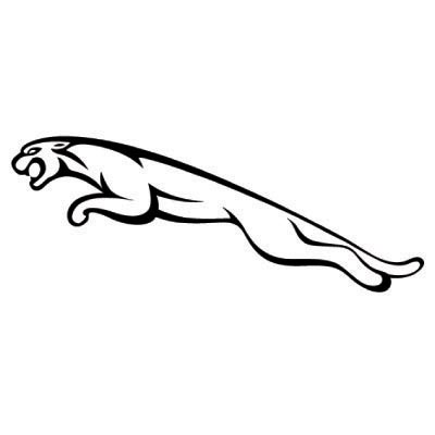 Custom jaguar logo iron on transfers (Decal Sticker) No.100191