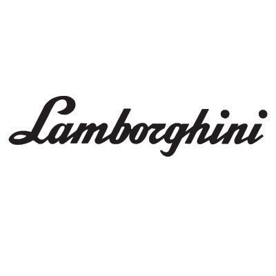 Custom lamborghini logo iron on transfers (Decal Sticker) No.100204