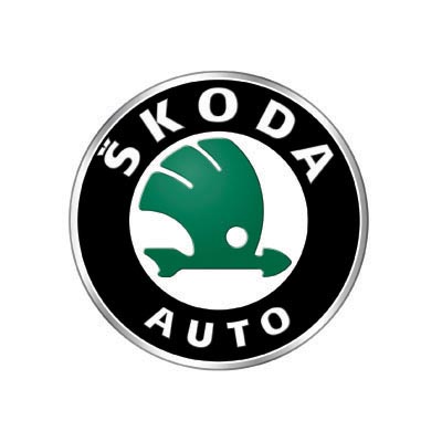 Custom skoda logo iron on transfers (Decal Sticker) No.100286