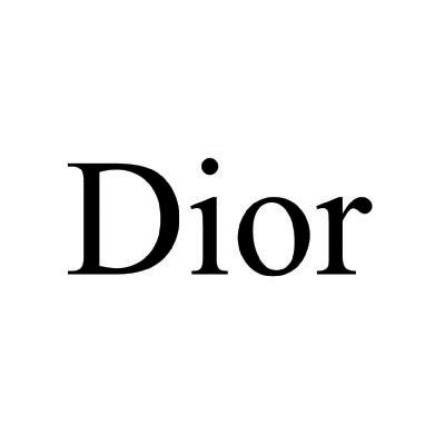 Custom dior logo iron on transfers (Decal Sticker) No.100339
