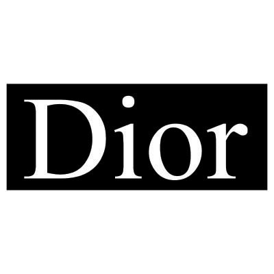 Custom dior logo iron on transfers (Decal Sticker) No.100340