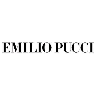 Custom pucci logo iron on transfers (Decal Sticker) No.100395