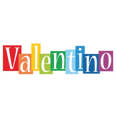Custom valentino logo iron on transfers (Decal Sticker) No.100405