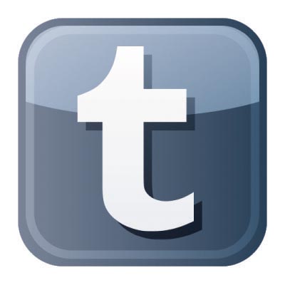 Custom tumblr logo iron on transfers (Decal Sticker) No.100513