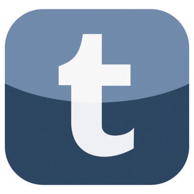 Custom tumblr logo iron on transfers (Decal Sticker) No.100514