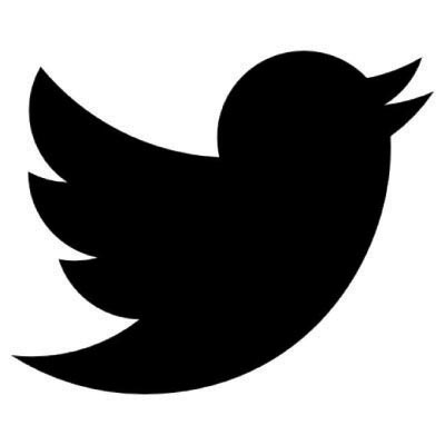 Custom twitter logo iron on transfers (Decal Sticker) No.100521