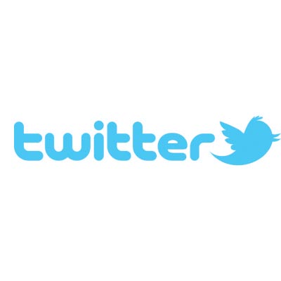 Custom twitter logo iron on transfers (Decal Sticker) No.100522