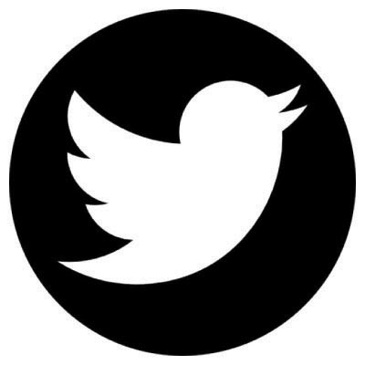 Custom twitter logo iron on transfers (Decal Sticker) No.100523