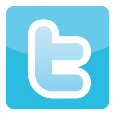 Custom twitter logo iron on transfers (Decal Sticker) No.100525