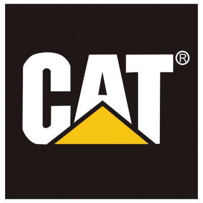 Custom cat logo iron on transfers (Decal Sticker) No.100550