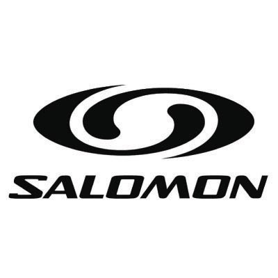 Custom salomon logo iron on transfers (Decal Sticker) No.100629