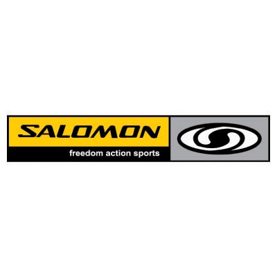 Custom salomon logo iron on transfers (Decal Sticker) No.100630