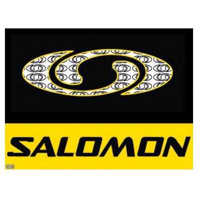 Custom salomon logo iron on transfers (Decal Sticker) No.100632