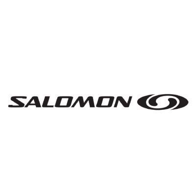 Custom salomon logo iron on transfers (Decal Sticker) No.100633